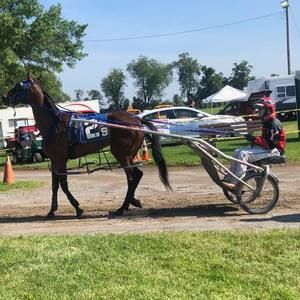 Meet your Posher, Steven